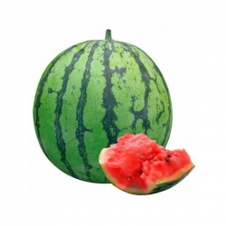 西瓜